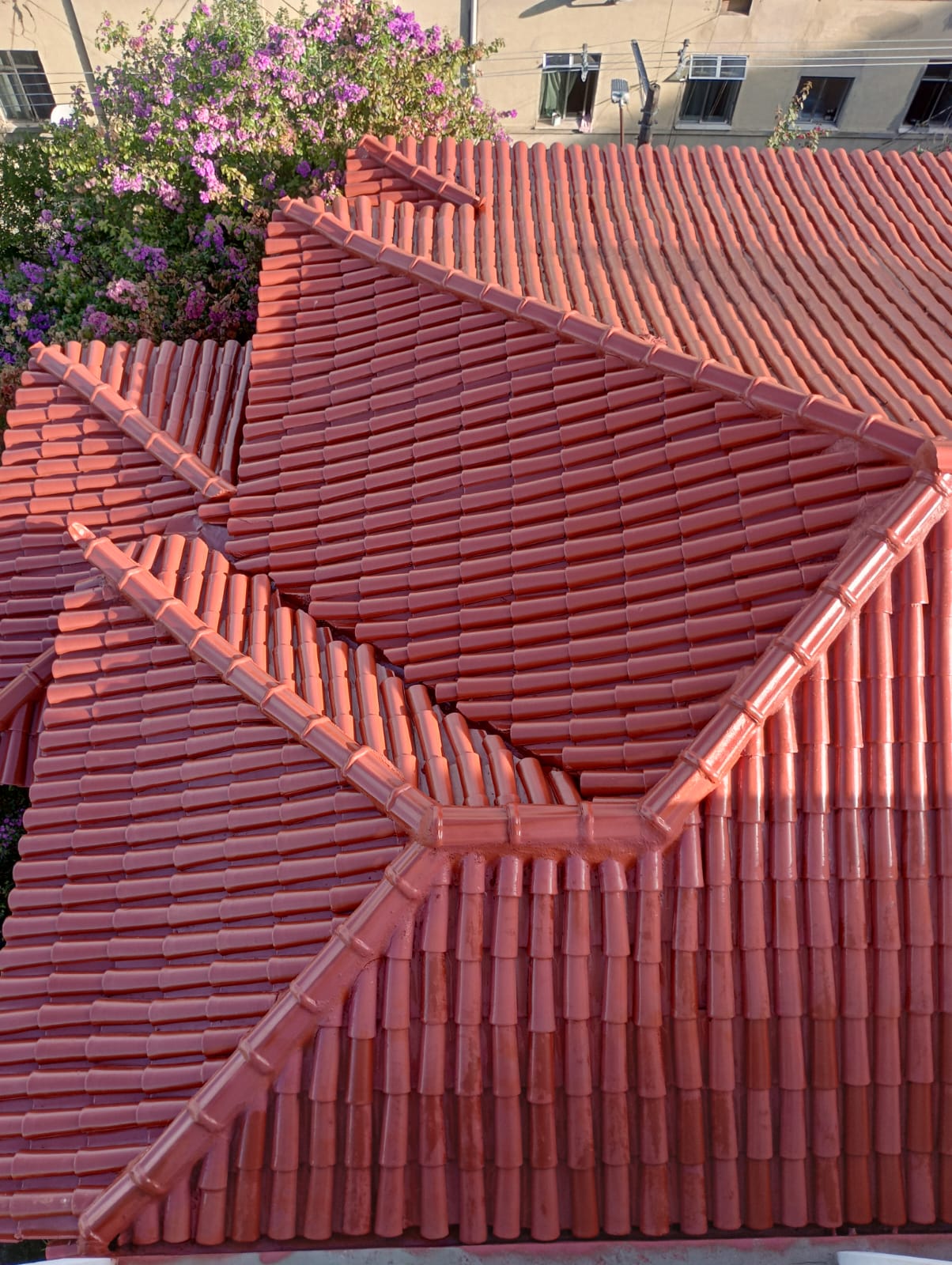 Projeto 1 Pinta Telhas